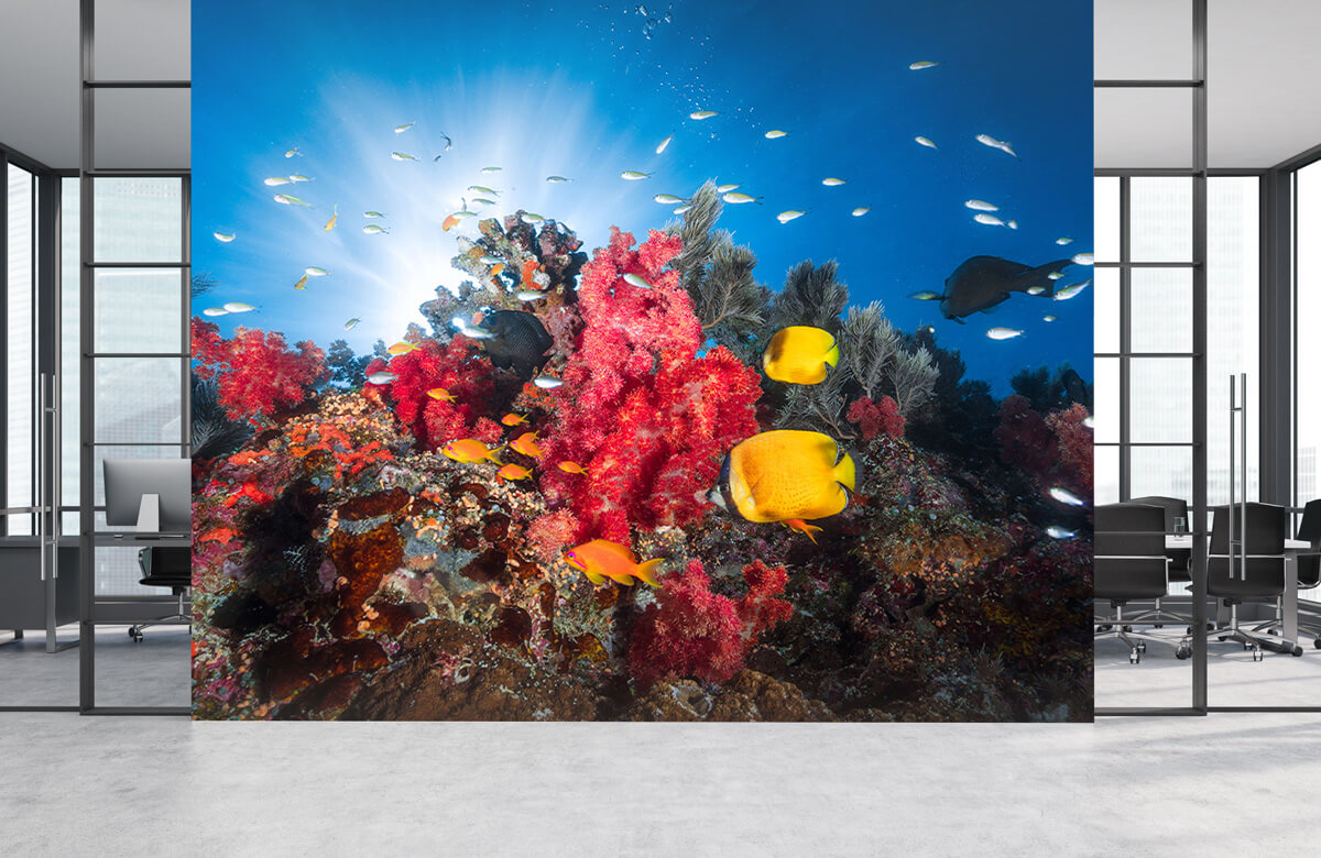 Underwater Reef life 4