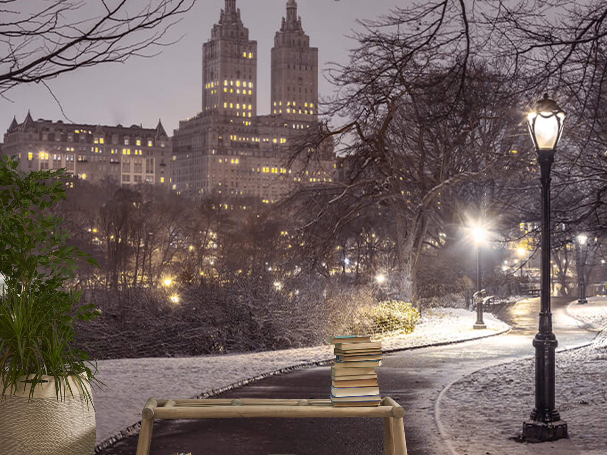  Central Park pokryty śniegiem 12