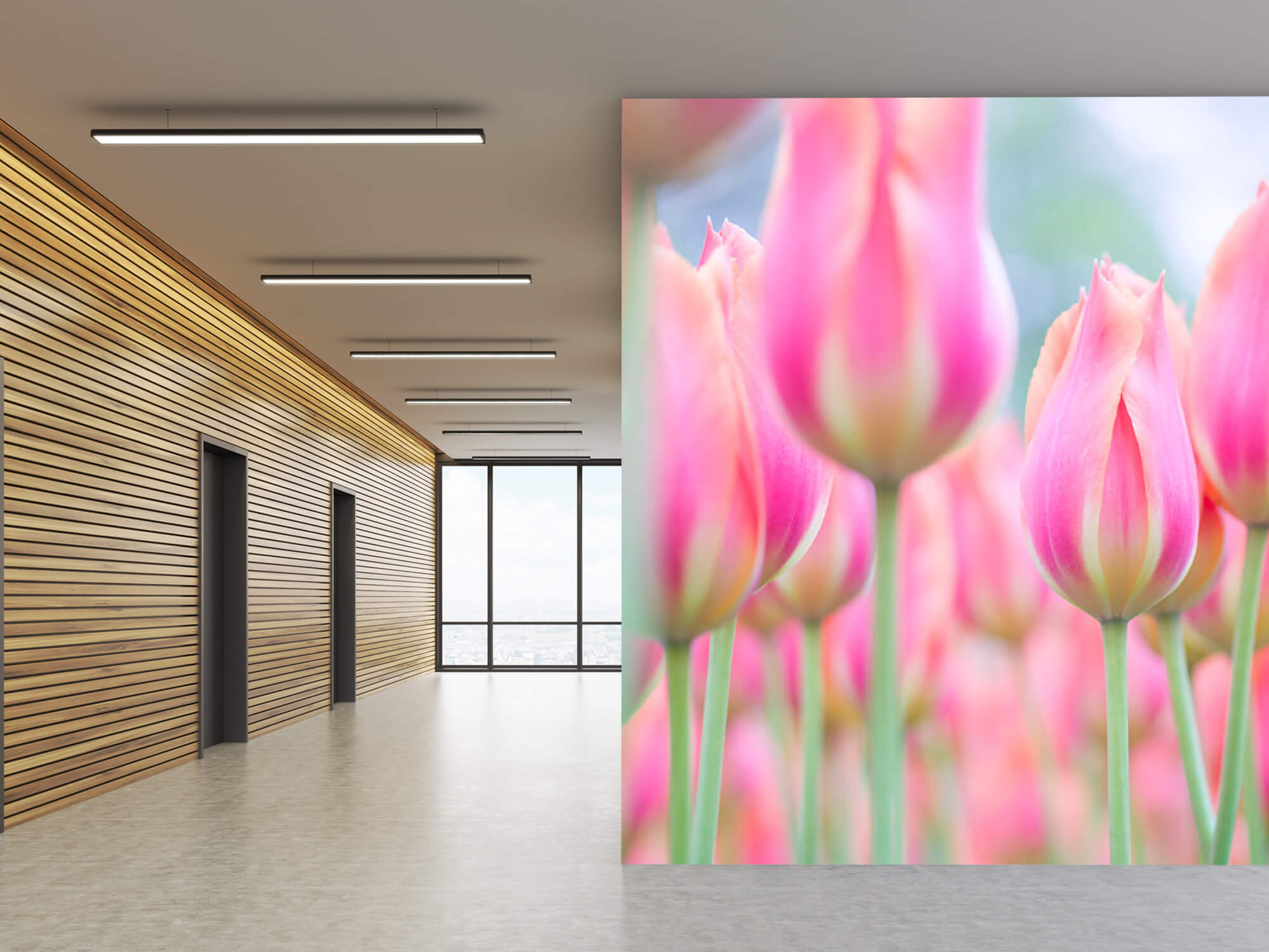  Zbliżenie na różowe tulipany 8