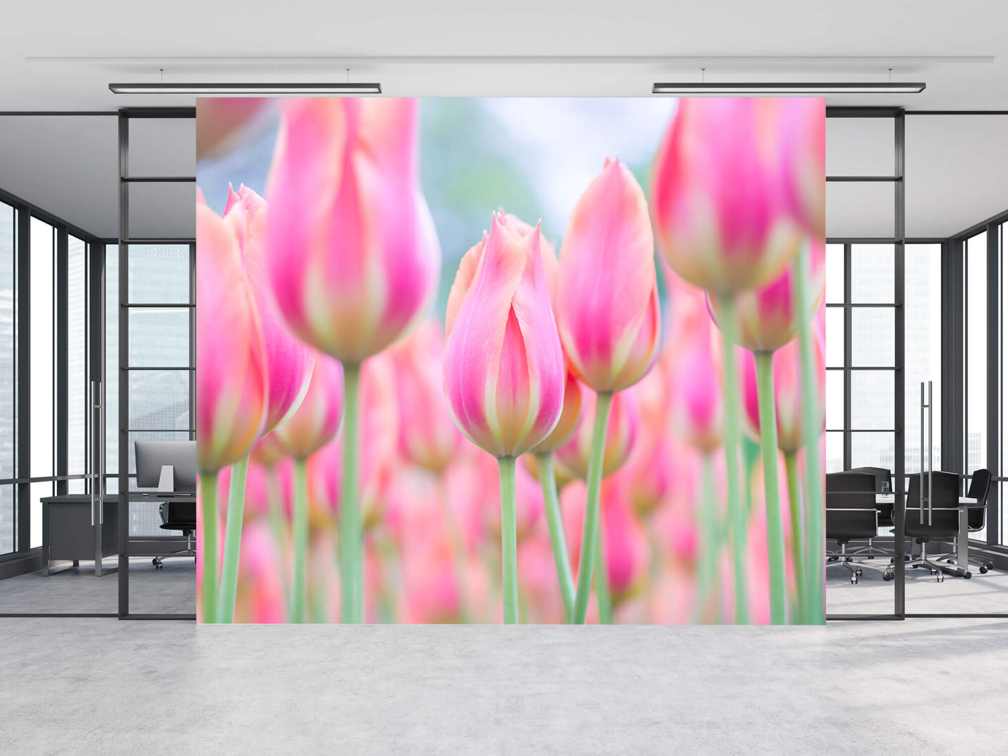  Zbliżenie na różowe tulipany 11