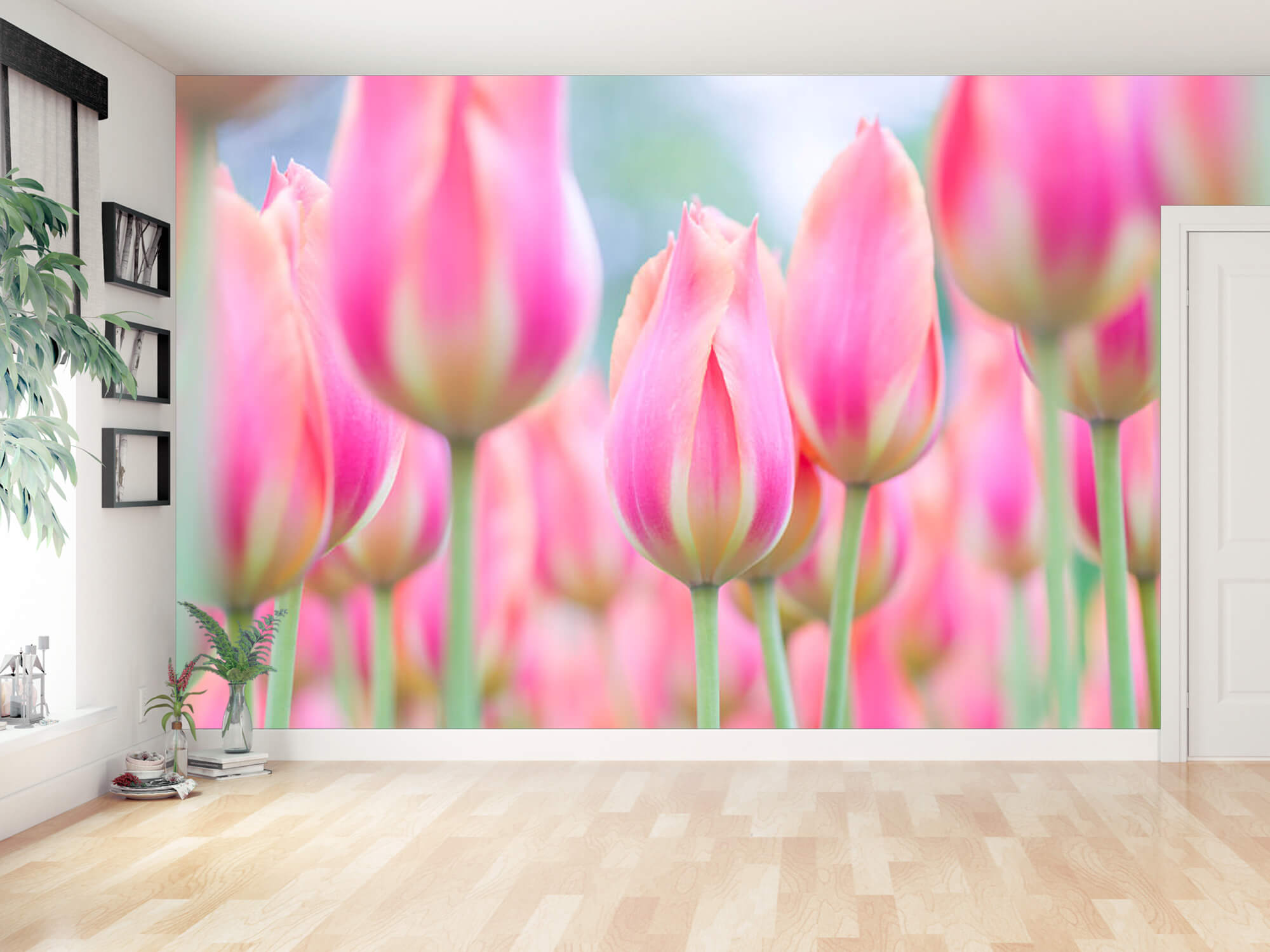  Zbliżenie na różowe tulipany 13