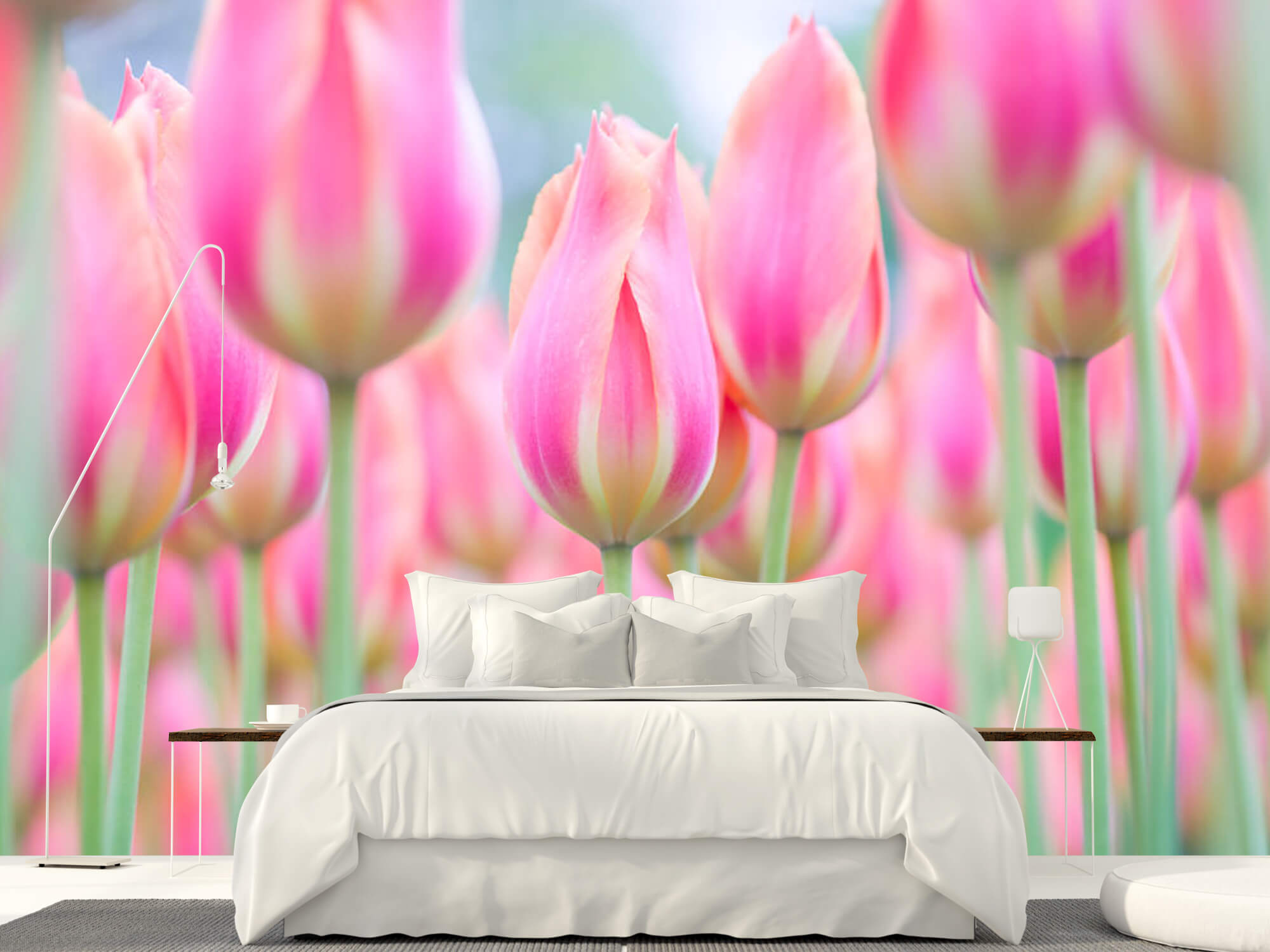  Zbliżenie na różowe tulipany 2