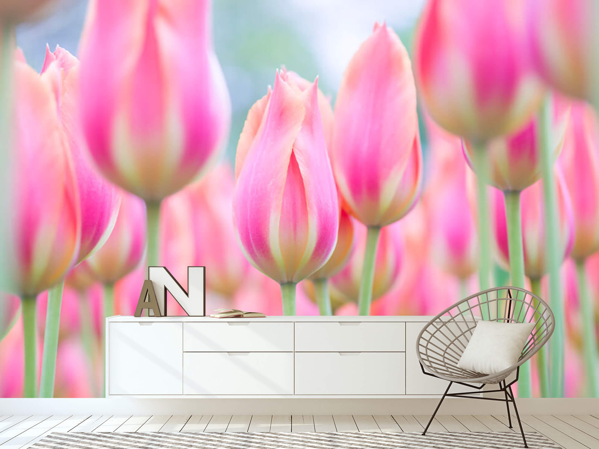  Zbliżenie na różowe tulipany 17
